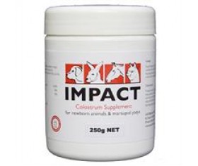 Rabbits & Guinea Pigs